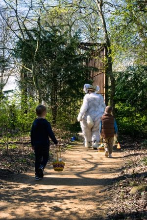 Easter Hunt
