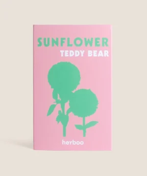 Sunflower 'Teddy Bear' Seeds