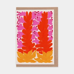 Bromeliad Flowers